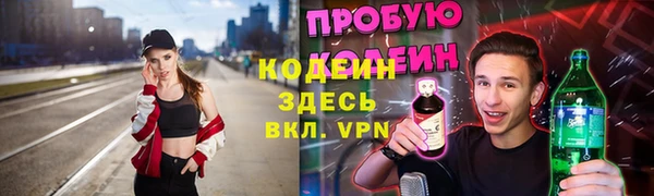 крисы Армянск