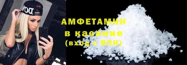 прущие грибы Аркадак