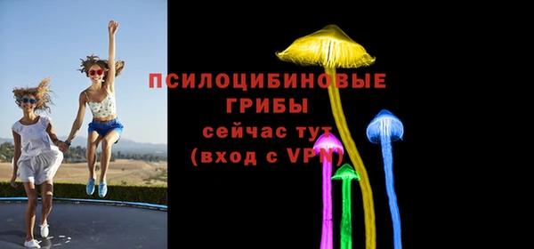 МДПВ Арсеньев