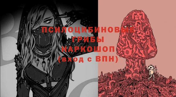 МДПВ Арсеньев