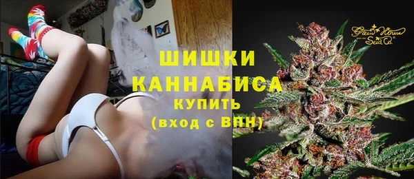 крисы Армянск