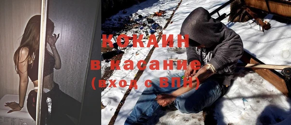 крисы Армянск