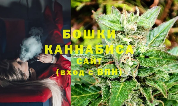 стаф Баксан