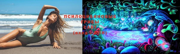 стаф Баксан