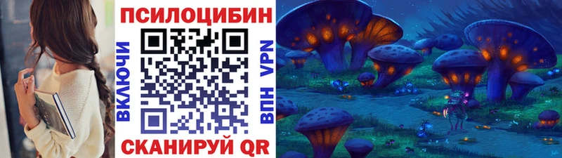 как найти закладки  гидра маркетплейс  Галлюциногенные грибы Cubensis  Новохопёрск 
